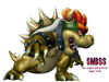 bowser800x600.JPG (42326 bytes)