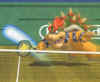 mariotennis2.jpg (17655 bytes)