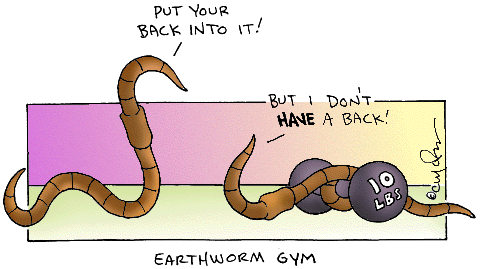 Earthworm Gym