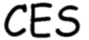 CES 